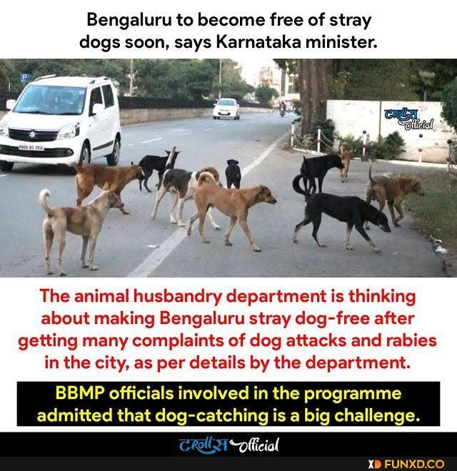 Bengaluru to become free of stray dogs soon, says Karnataka minister. The animal  husbandry department is
