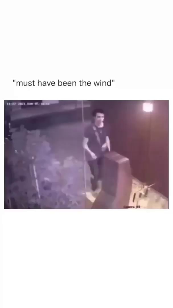 Must Have Been the Wind